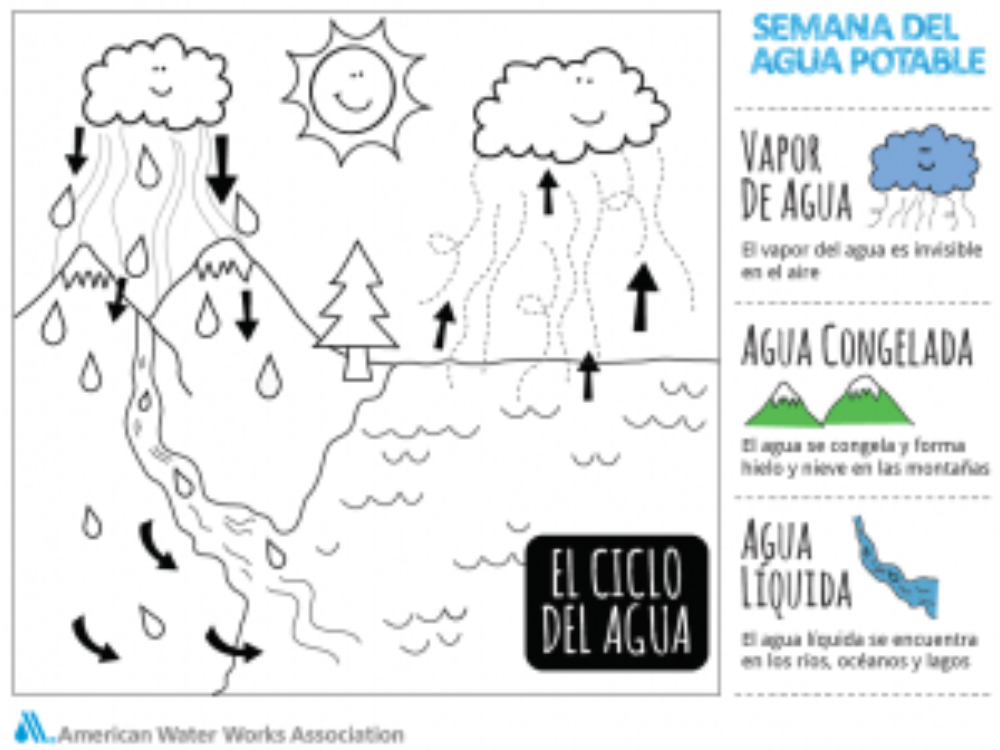 Water Cycle Coloring Spanish 300x224